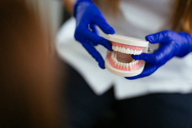 Trusted Quincy, IL Holistic Dental Care Services Experts